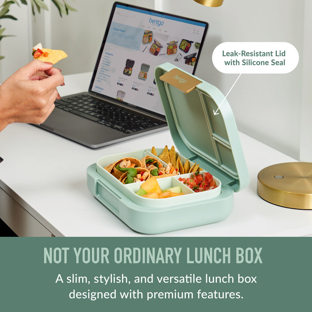 bentgo-modern-lunch-box-2-pack-x0 BGOMDN-MG_2_98ca6fcb-06f0-46cf-b72c-8f9c44372257.jpg