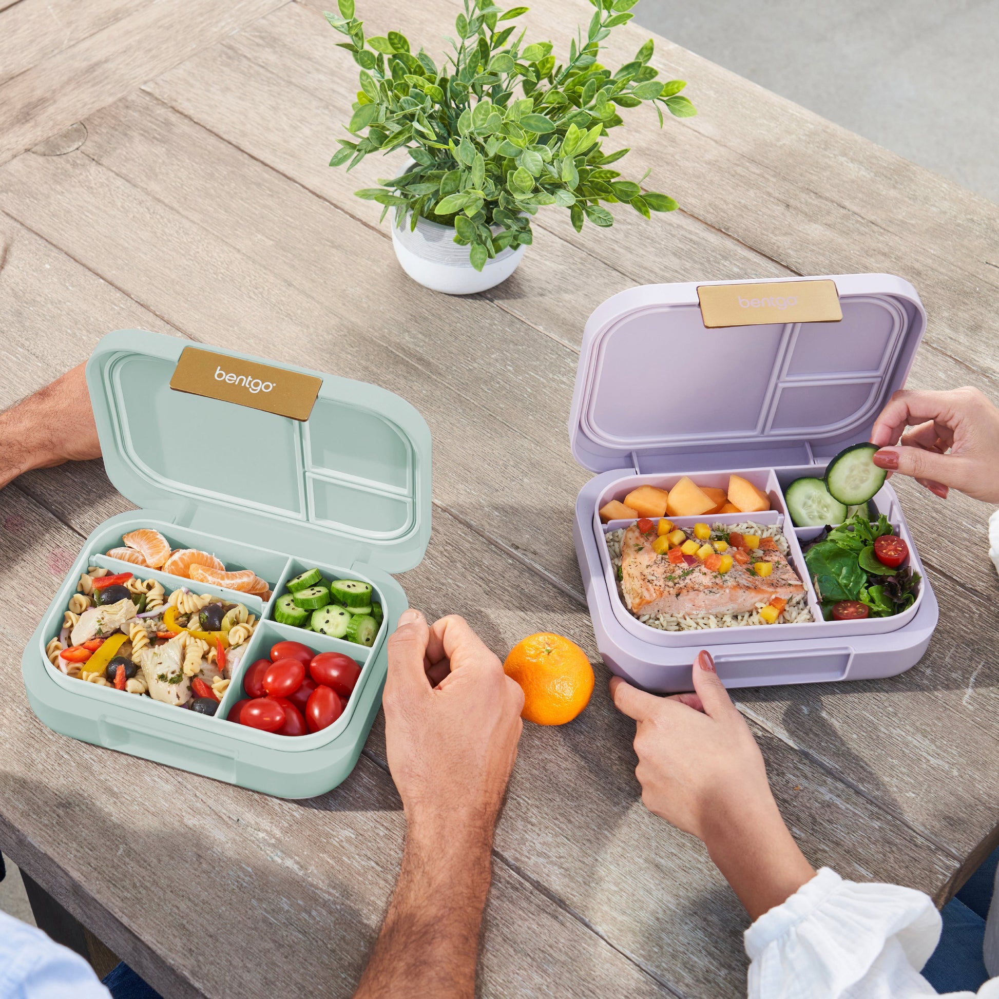 bentgo-modern-lunch-box-2-pack-x0 COSTCOBMCPRODUCTIMAGE_2.jpg